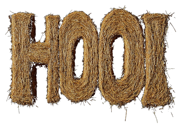 HOOI
